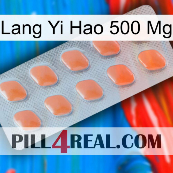 Lang Yi Hao 500 Mg 26.jpg